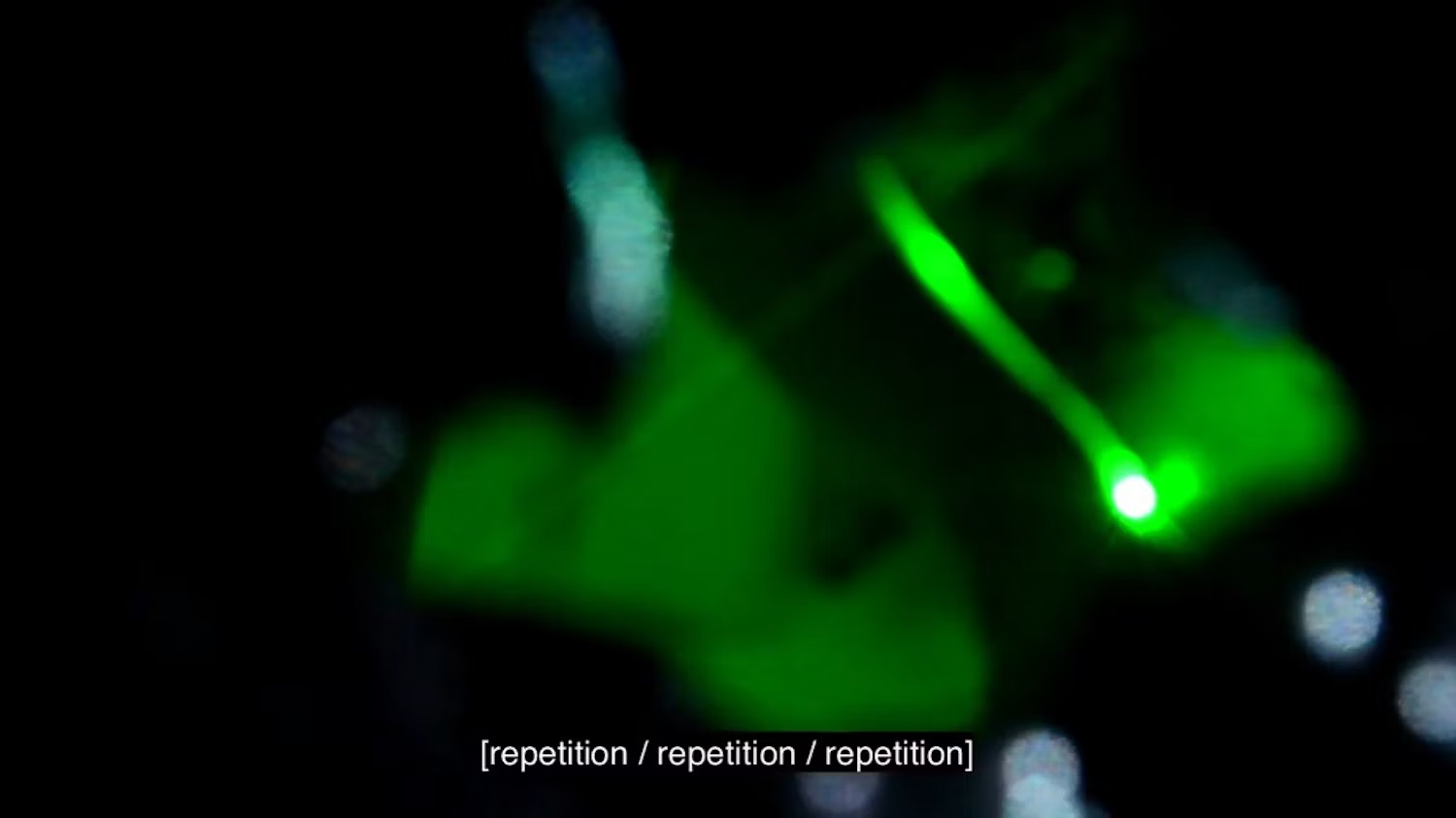 ddb632fd-7e75-4493-8b4b-3f408136b66e